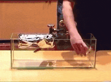 1 of SF6 Gas Properties Tinfoil floats on sf6 gas